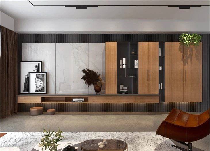 Sleek Modern TV Cabinet